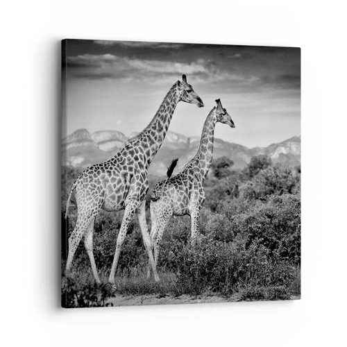 Impression sur toile - Image sur toile - Hautes sphères en Afrique - 30x30 cm