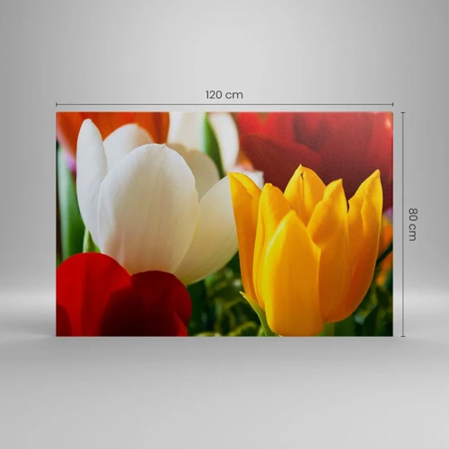 Impression sur toile - Image sur toile - La fièvre des tulipes - 120x80 cm