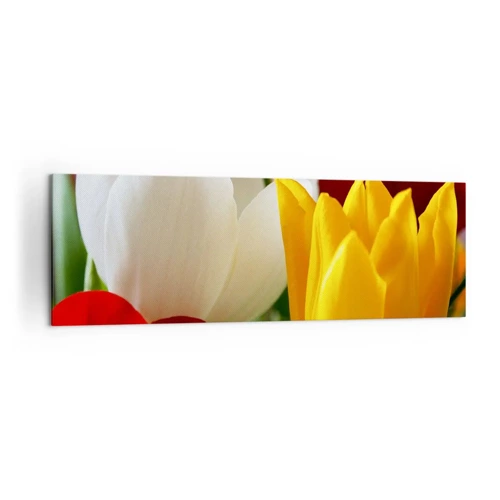 Impression sur toile - Image sur toile - La fièvre des tulipes - 160x50 cm