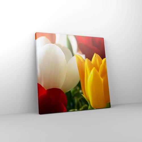 Impression sur toile - Image sur toile - La fièvre des tulipes - 30x30 cm
