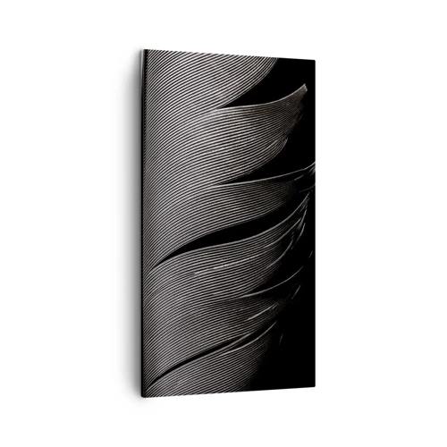 Impression sur toile - Image sur toile - La plume – un design magnifique - 45x80 cm