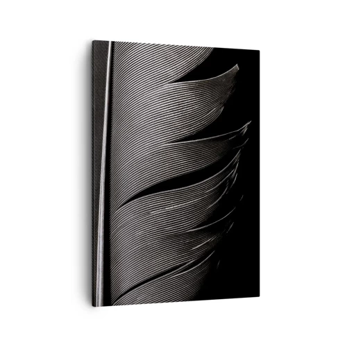 Impression sur toile - Image sur toile - La plume – un design magnifique - 50x70 cm