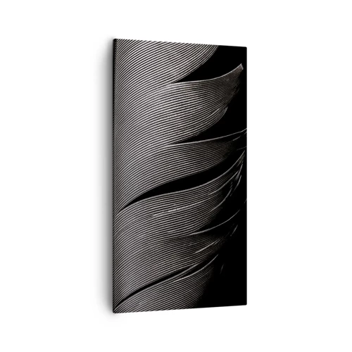 Impression sur toile - Image sur toile - La plume – un design magnifique - 55x100 cm