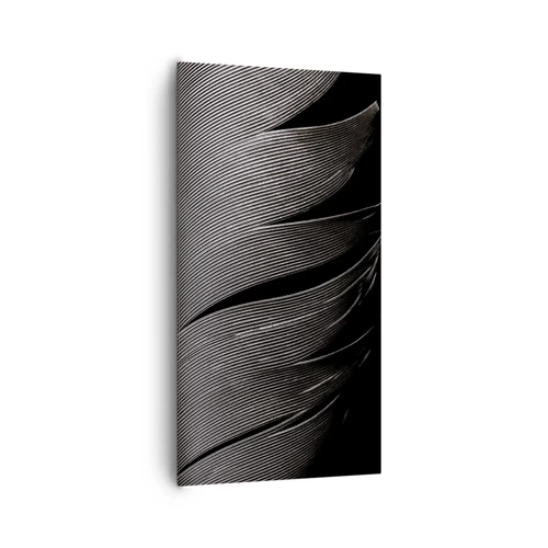 Impression sur toile - Image sur toile - La plume – un design magnifique - 65x120 cm
