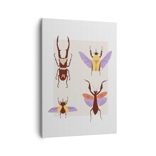 Impression sur toile - Image sur toile - Le monde des insectes - 50x70 cm