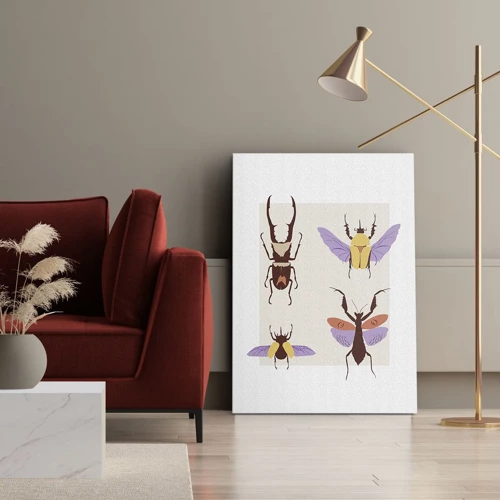 Impression sur toile - Image sur toile - Le monde des insectes - 50x70 cm
