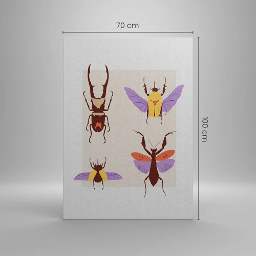 Impression sur toile - Image sur toile - Le monde des insectes - 70x100 cm