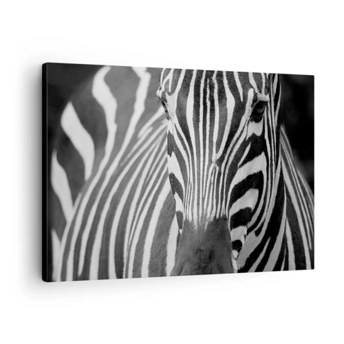 Impression sur toile - Image sur toile - Le monde est noir et blanc - 70x50 cm