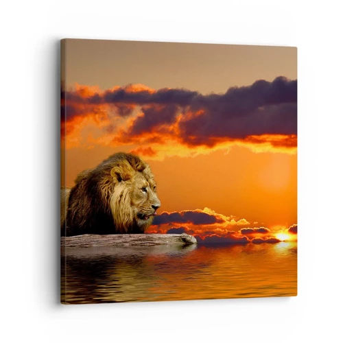 Impression sur toile - Image sur toile - Le roi de la nature - 30x30 cm