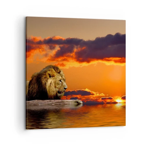 Impression sur toile - Image sur toile - Le roi de la nature - 50x50 cm