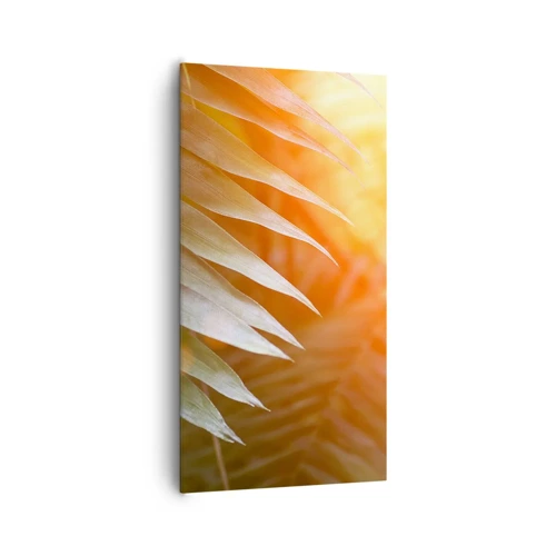 Impression sur toile - Image sur toile - Matinée dans la jungle - 65x120 cm
