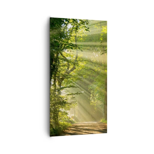 Impression sur toile - Image sur toile - Moment de forêt - 65x120 cm