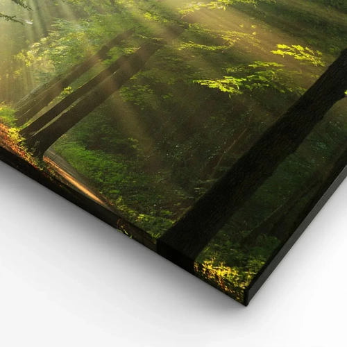 Impression sur toile - Image sur toile - Moment de forêt - 80x120 cm