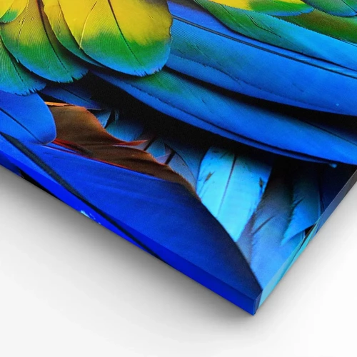 Impression sur toile - Image sur toile - Oiseau de paradis - 45x80 cm