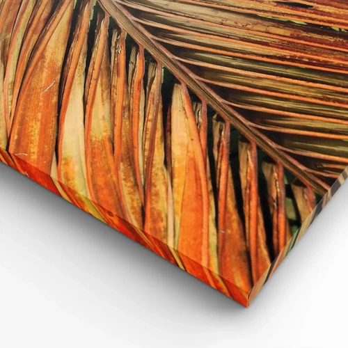 Impression sur toile - Image sur toile - Or de noix de coco - 100x70 cm