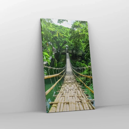 Impression sur toile - Image sur toile - Pont de singe en pleine nature - 45x80 cm