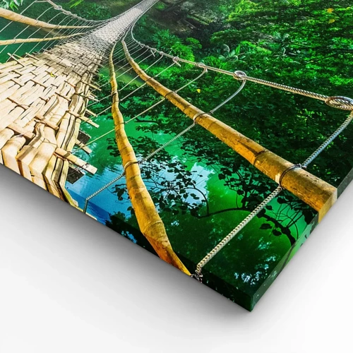 Impression sur toile - Image sur toile - Pont de singe en pleine nature - 70x70 cm