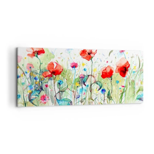 Impression sur toile - Image sur toile - Prairie de fleurs en mai - 100x40 cm