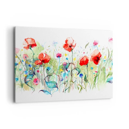 Impression sur toile - Image sur toile - Prairie de fleurs en mai - 120x80 cm