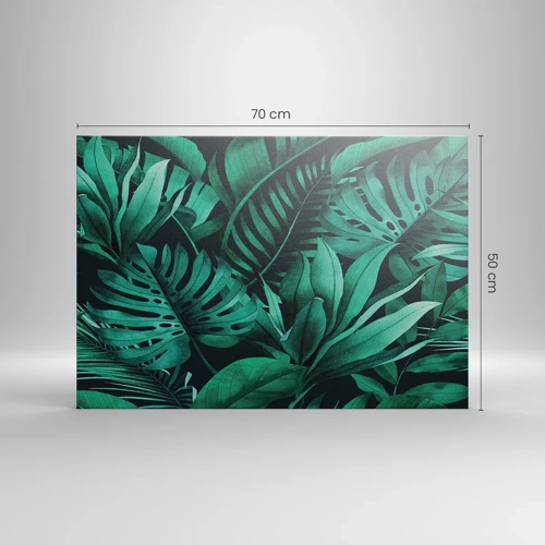 Impression sur toile - Image sur toile - Profondeur du vert tropical - 70x50 cm