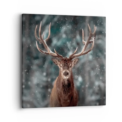 Impression sur toile - Image sur toile - Roi de la forêt couronné - 40x40 cm