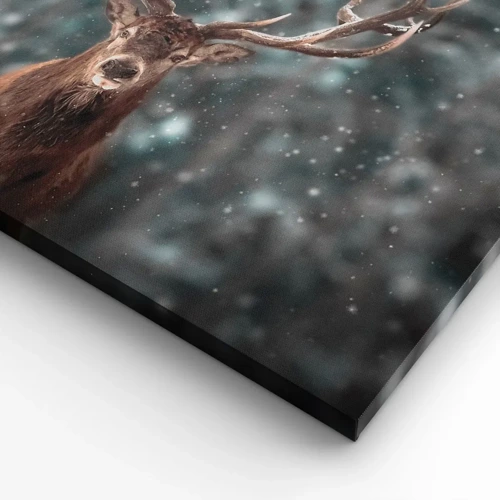 Impression sur toile - Image sur toile - Roi de la forêt couronné - 60x60 cm