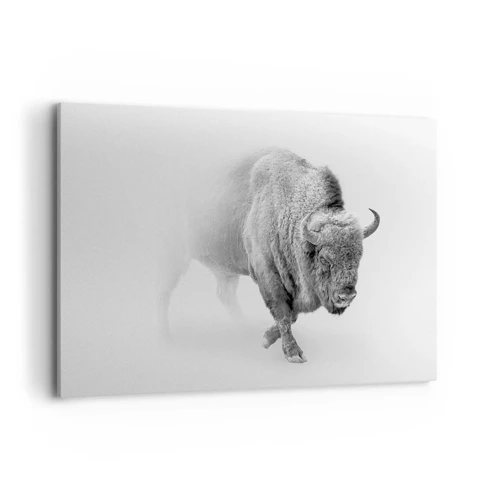 Impression sur toile - Image sur toile - Roi de la prairie - 100x70 cm