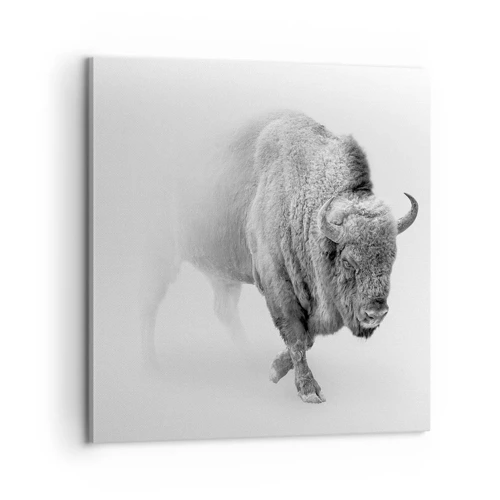 Impression sur toile - Image sur toile - Roi de la prairie - 60x60 cm