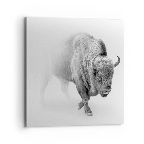 Impression sur toile - Image sur toile - Roi de la prairie - 70x70 cm