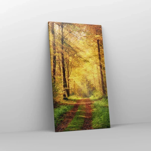 Impression sur toile - Image sur toile - Silence d'or en forêt - 55x100 cm