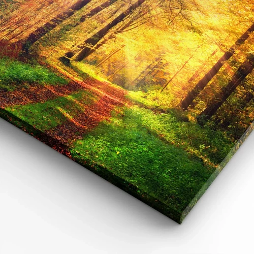 Impression sur toile - Image sur toile - Silence d'or en forêt - 55x100 cm