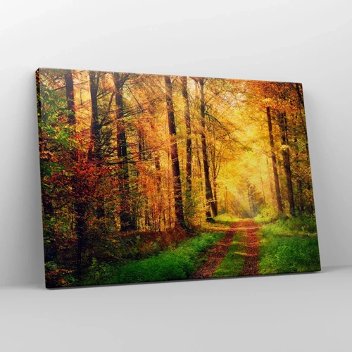 Impression sur toile - Image sur toile - Silence d'or en forêt - 70x50 cm