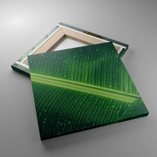 Impression sur toile - Image sur toile - Structure de vert - 30x30 cm