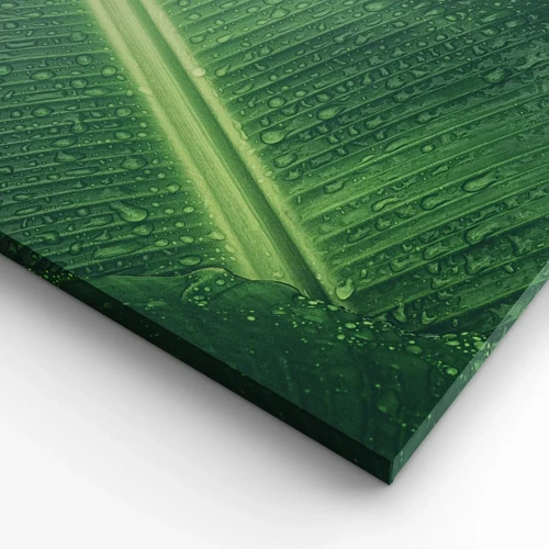 Impression sur toile - Image sur toile - Structure de vert - 30x30 cm