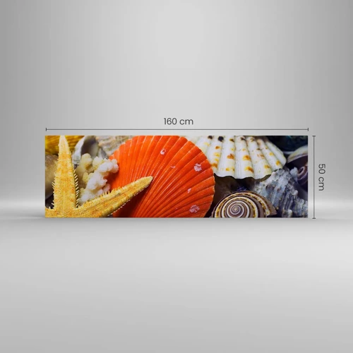 Impression sur toile - Image sur toile - Trésors de l'océan - 160x50 cm