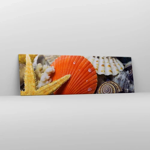 Impression sur toile - Image sur toile - Trésors de l'océan - 160x50 cm