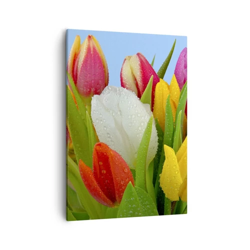 Impression sur toile - Image sur toile - Un arc-en-ciel fleuri en gouttes de rosée - 50x70 cm