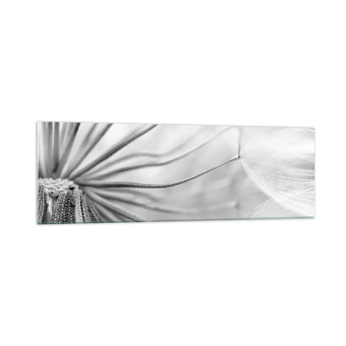 Impression sur verre - Image sur verre - Aigrette avant son envol - 160x50 cm