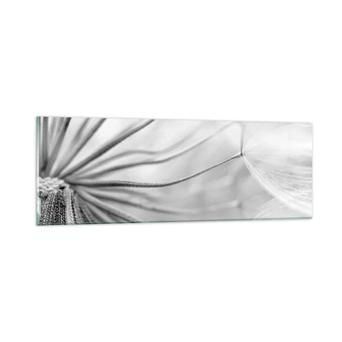 Impression sur verre - Image sur verre - Aigrette avant son envol - 90x30 cm