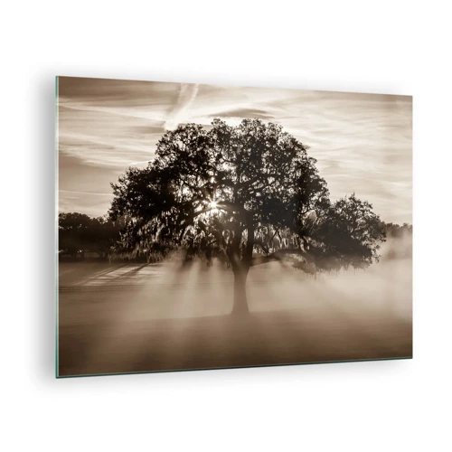 Impression sur verre - Image sur verre - Arbre de bonnes nouvelles - 70x50 cm