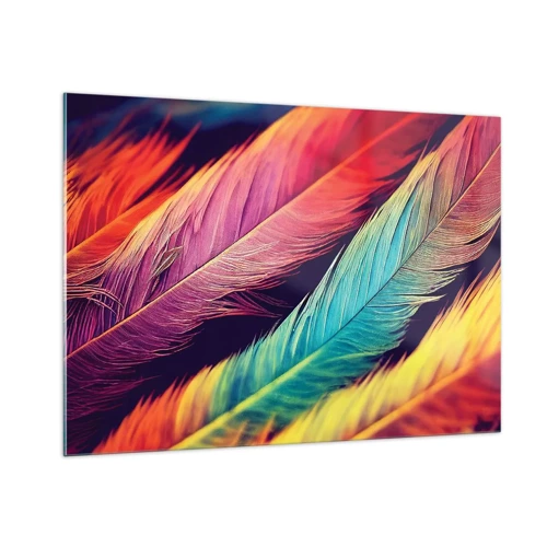 Impression sur verre - Image sur verre - Arc-en-ciel de plumes - 100x70 cm