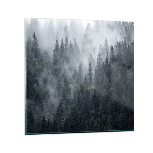 Impression sur verre - Image sur verre - Aube de la forêt - 30x30 cm