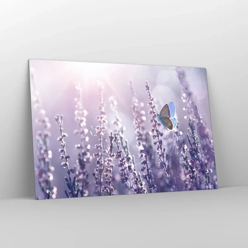 Impression sur verre - Image sur verre - Baiser de papillon - 120x80 cm