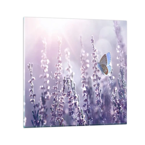 Impression sur verre - Image sur verre - Baiser de papillon - 30x30 cm