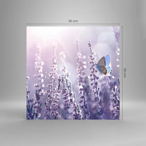 Impression sur verre - Image sur verre - Baiser de papillon - 30x30 cm
