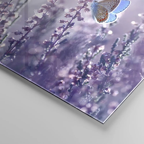 Impression sur verre - Image sur verre - Baiser de papillon - 70x100 cm