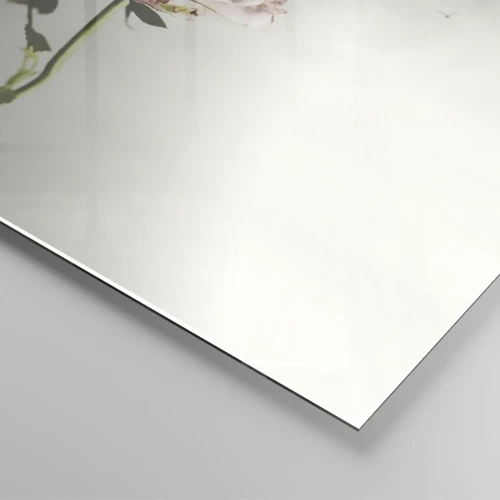 Impression sur verre - Image sur verre - Bonjour de printemps - 40x40 cm