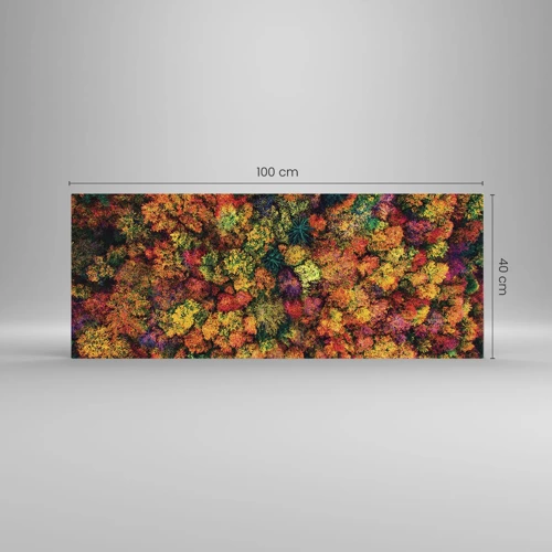 Impression sur verre - Image sur verre - Bouquet d'arbres automnal - 100x40 cm