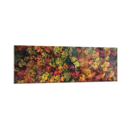 Impression sur verre - Image sur verre - Bouquet d'arbres automnal - 160x50 cm
