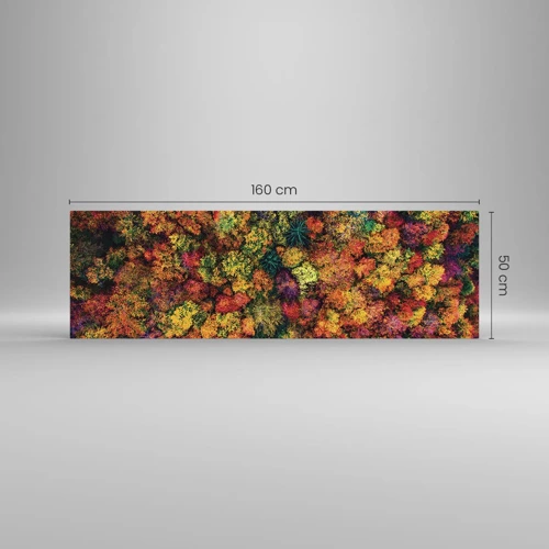 Impression sur verre - Image sur verre - Bouquet d'arbres automnal - 160x50 cm